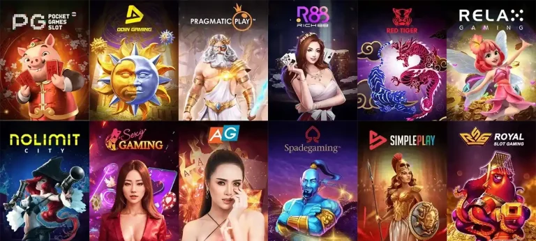 suki555 เข้าสู่ระบบ